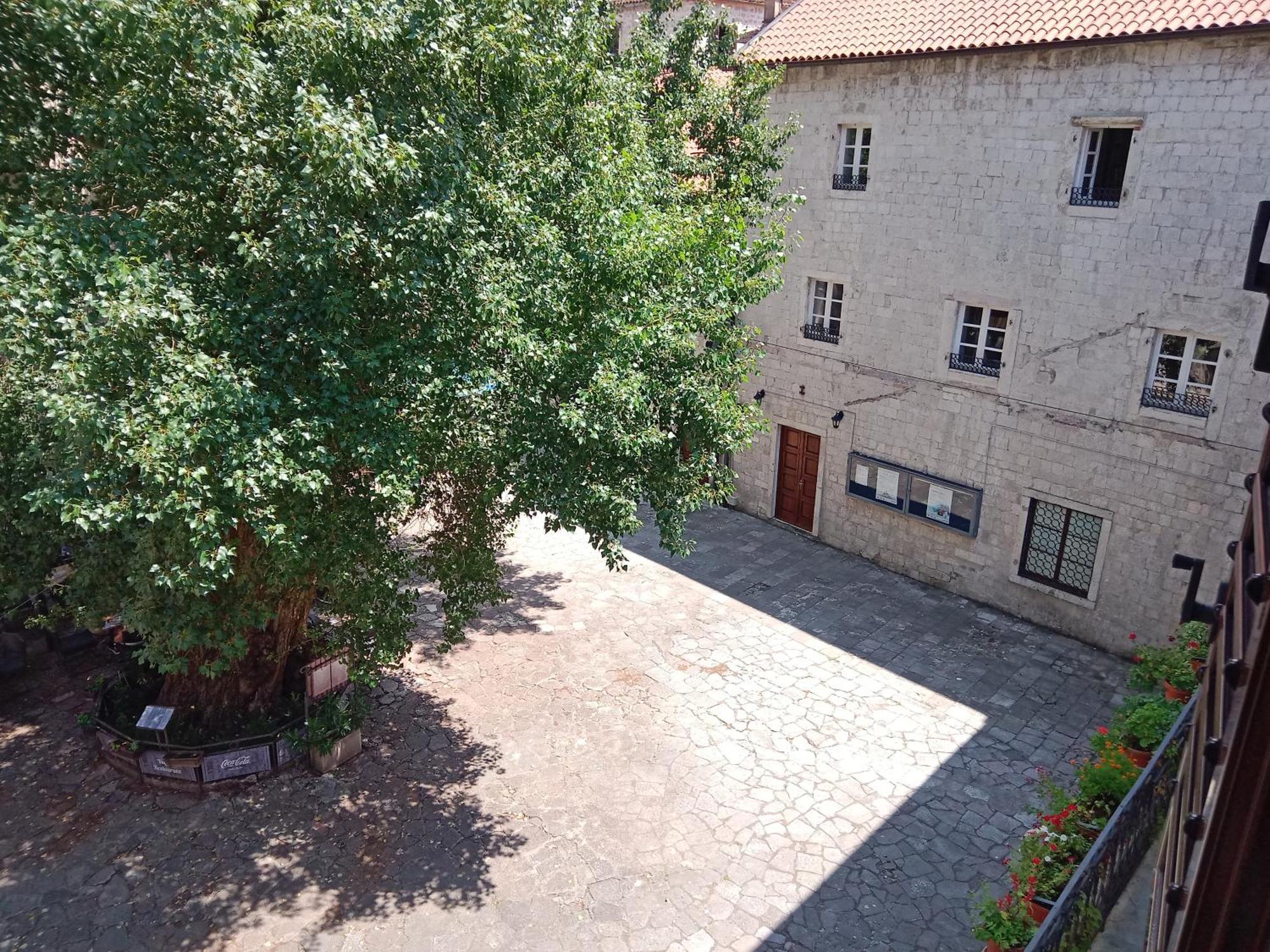 Apartmán Centar Starog Grada Kotor Exteriér fotografie